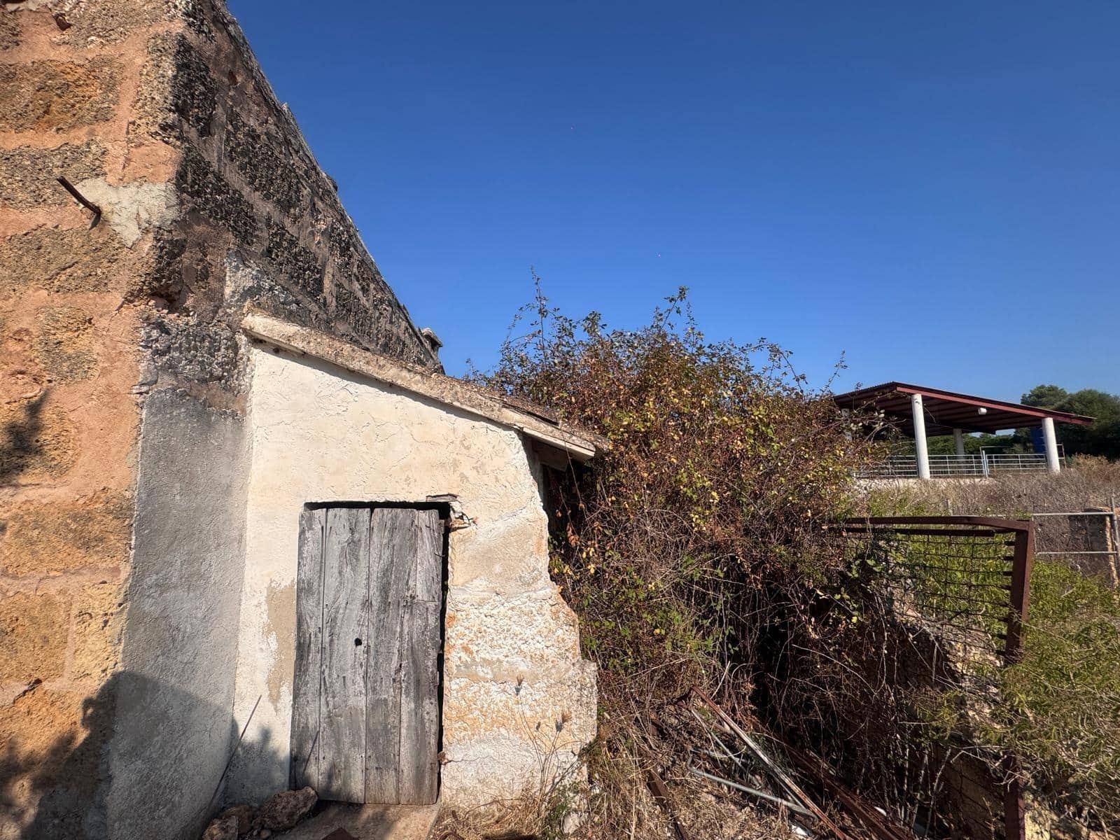 Rakentamaton maa myytävänä paikassa Inca - 265 000 € (Ref: 9197914)