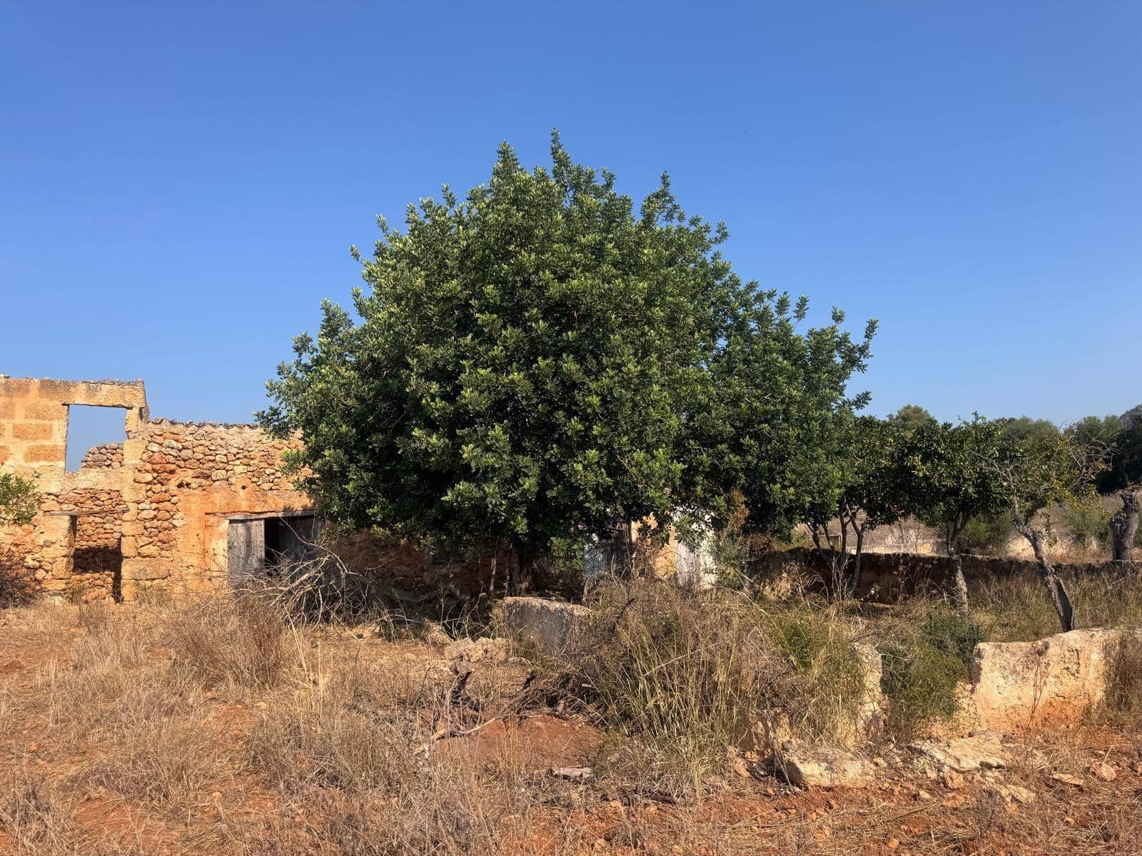 Rakentamaton maa myytävänä paikassa Inca - 265 000 € (Ref: 9197914)