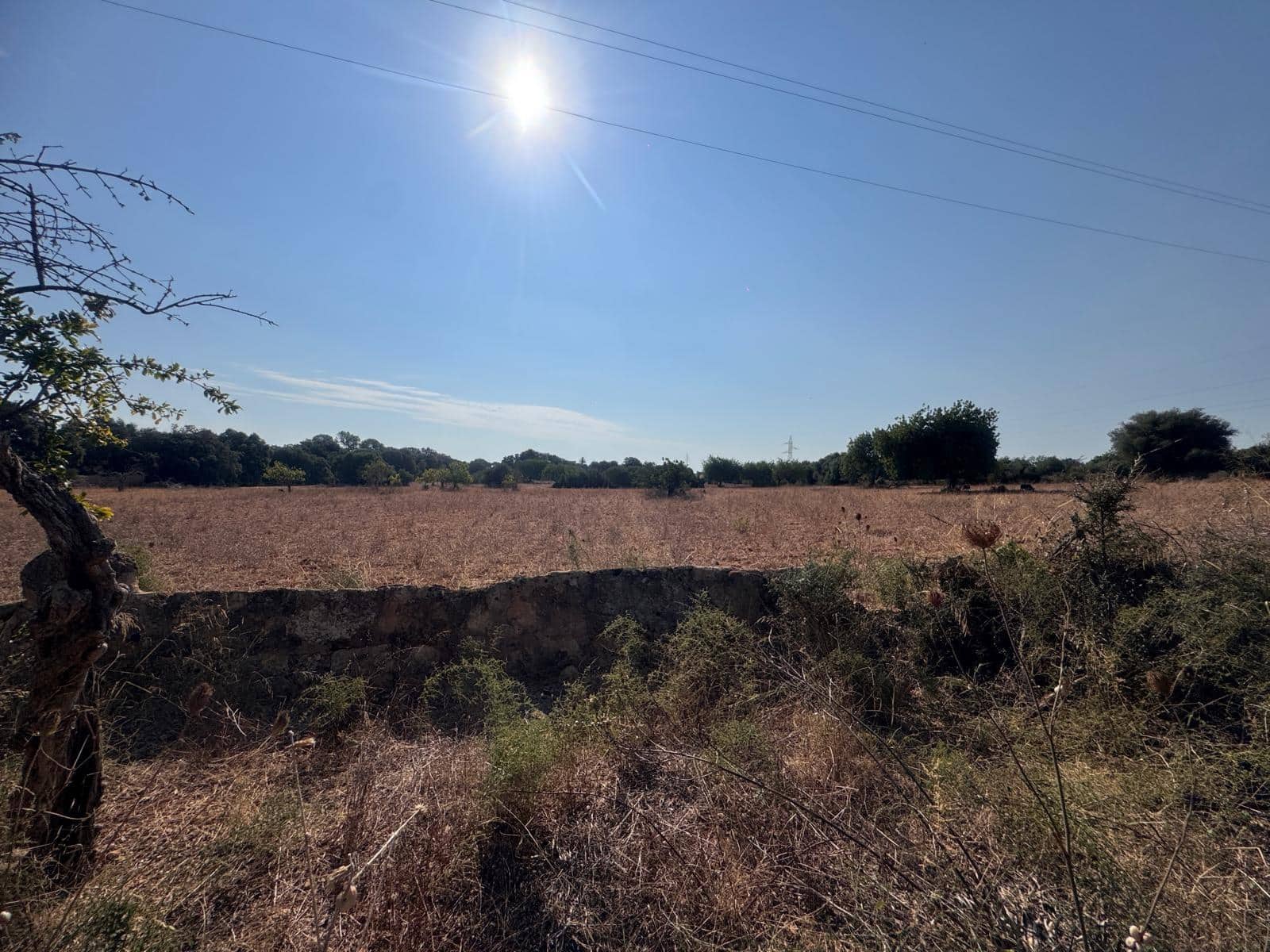 Rakentamaton maa myytävänä paikassa Inca - 265 000 € (Ref: 9197914)