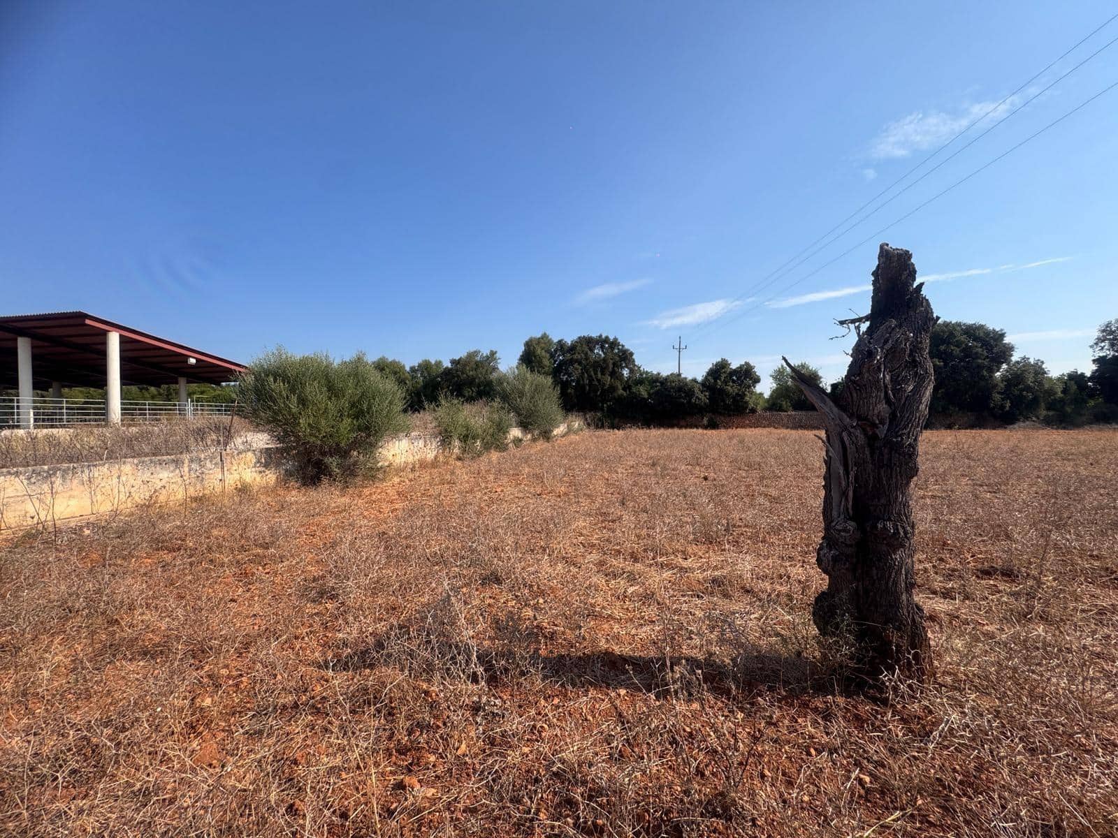 Rakentamaton maa myytävänä paikassa Inca - 265 000 € (Ref: 9197914)