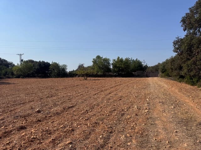 Mark till salu i Inca - 265 000 € (Ref: 9197914)