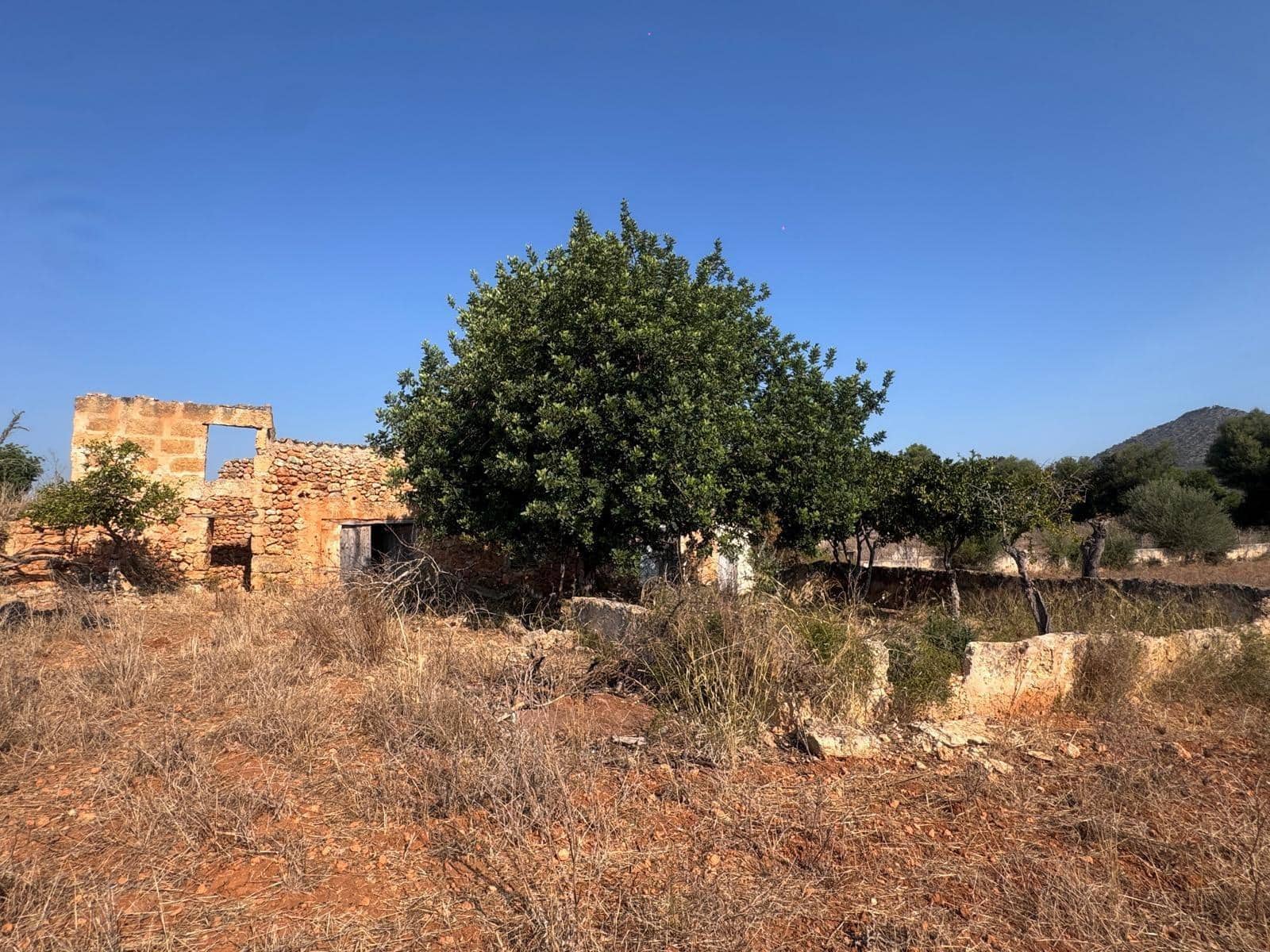 Rakentamaton maa myytävänä paikassa Inca - 265 000 € (Ref: 9197914)