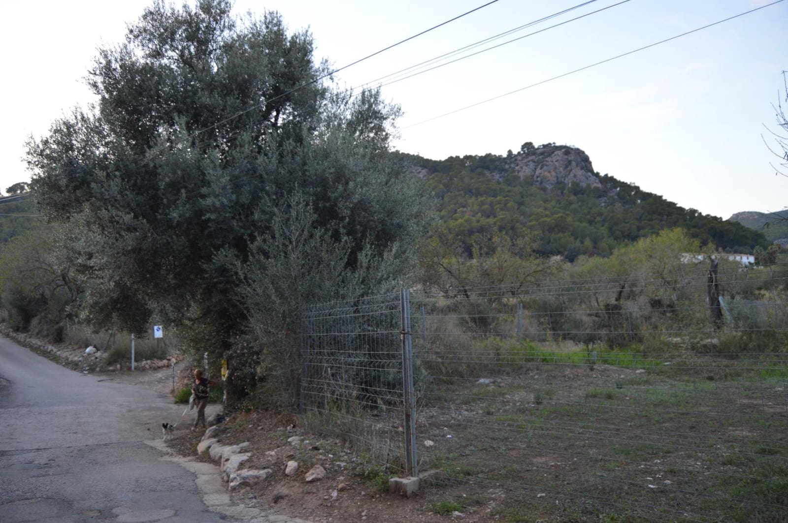 3 bedroom Penthouse for sale in Andratx - € 265,000 (Ref: 9321795)