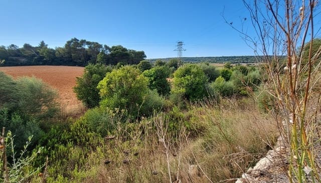 Byggegrund til salg i Manacor - € 130.000 (Ref: 9326648)