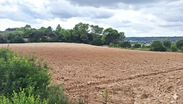 Byggegrund til salg i Manacor - € 130.000 (Ref: 9326648)