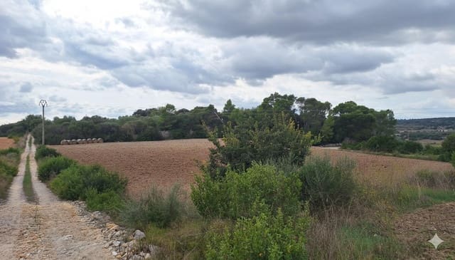 Byggegrund til salg i Manacor - € 130.000 (Ref: 9326648)