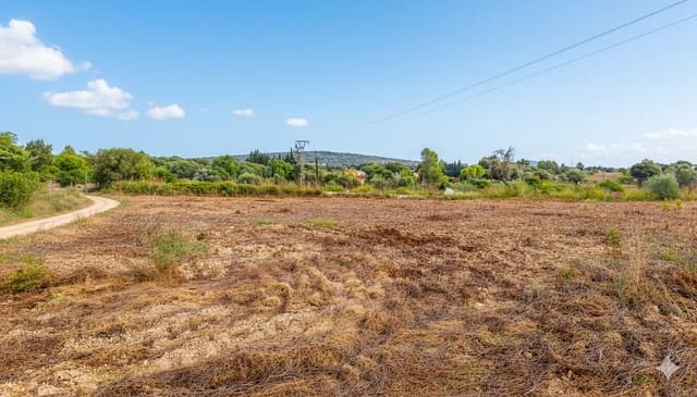 Byggegrund til salg i Manacor - € 130.000 (Ref: 9326648)