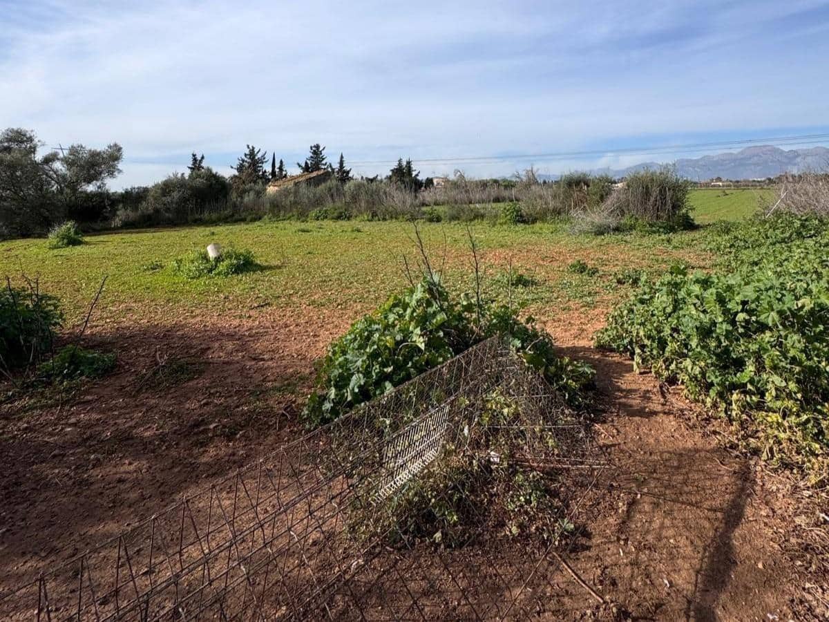 1 slaapkamer Finca/Landhuis te koop in Muro met garage - € 296.900 (Ref: 9533963)