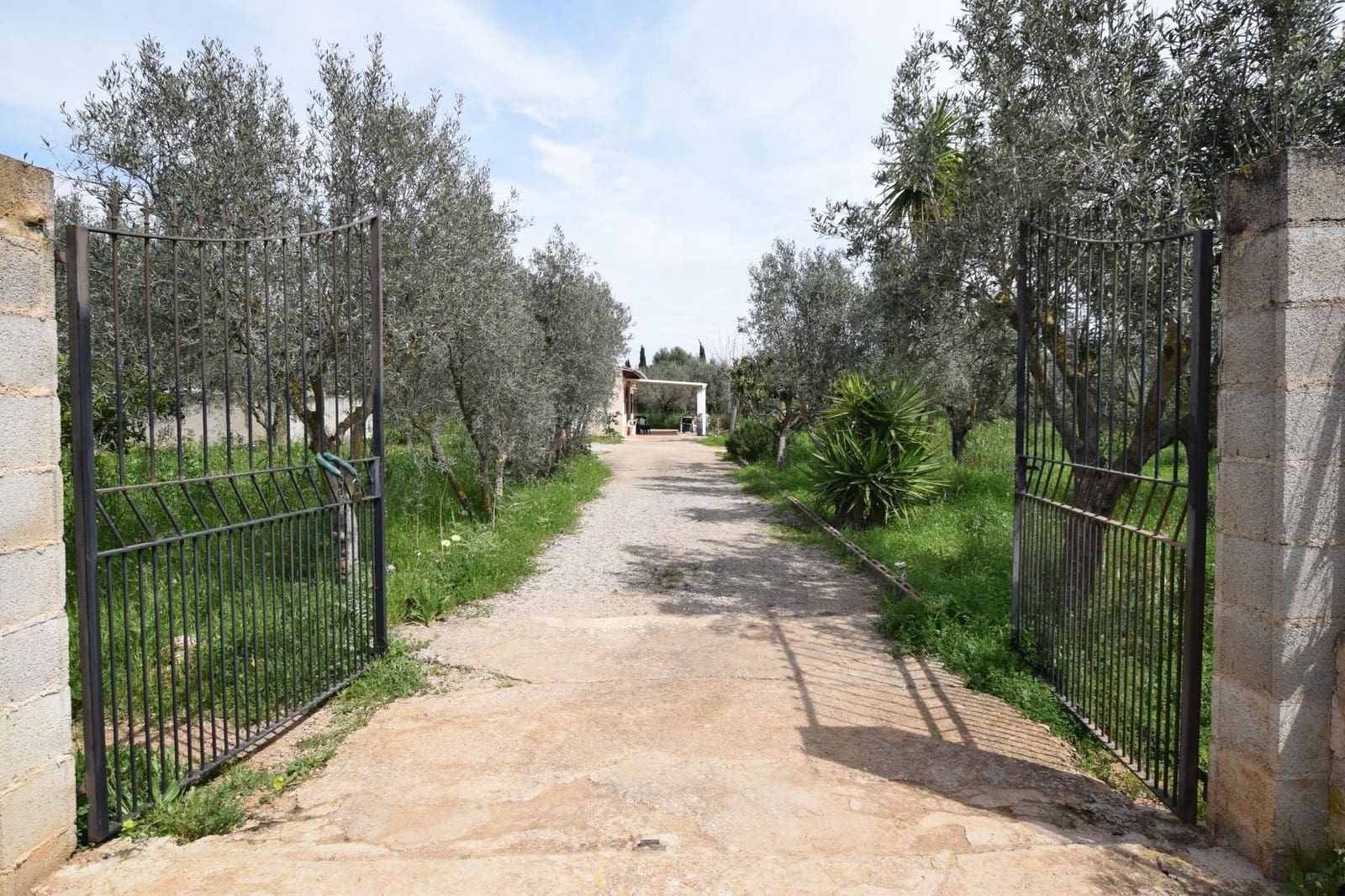 1 sypialnia Finka/Dom wiejski na sprzedaż w Ses Alqueries - 242 000 € (Ref: 9533968)