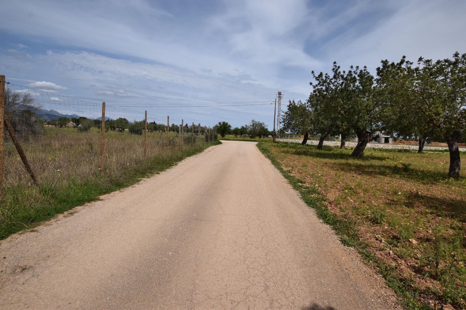 1 sypialnia Finka/Dom wiejski na sprzedaż w Ses Alqueries - 242 000 € (Ref: 9533968)