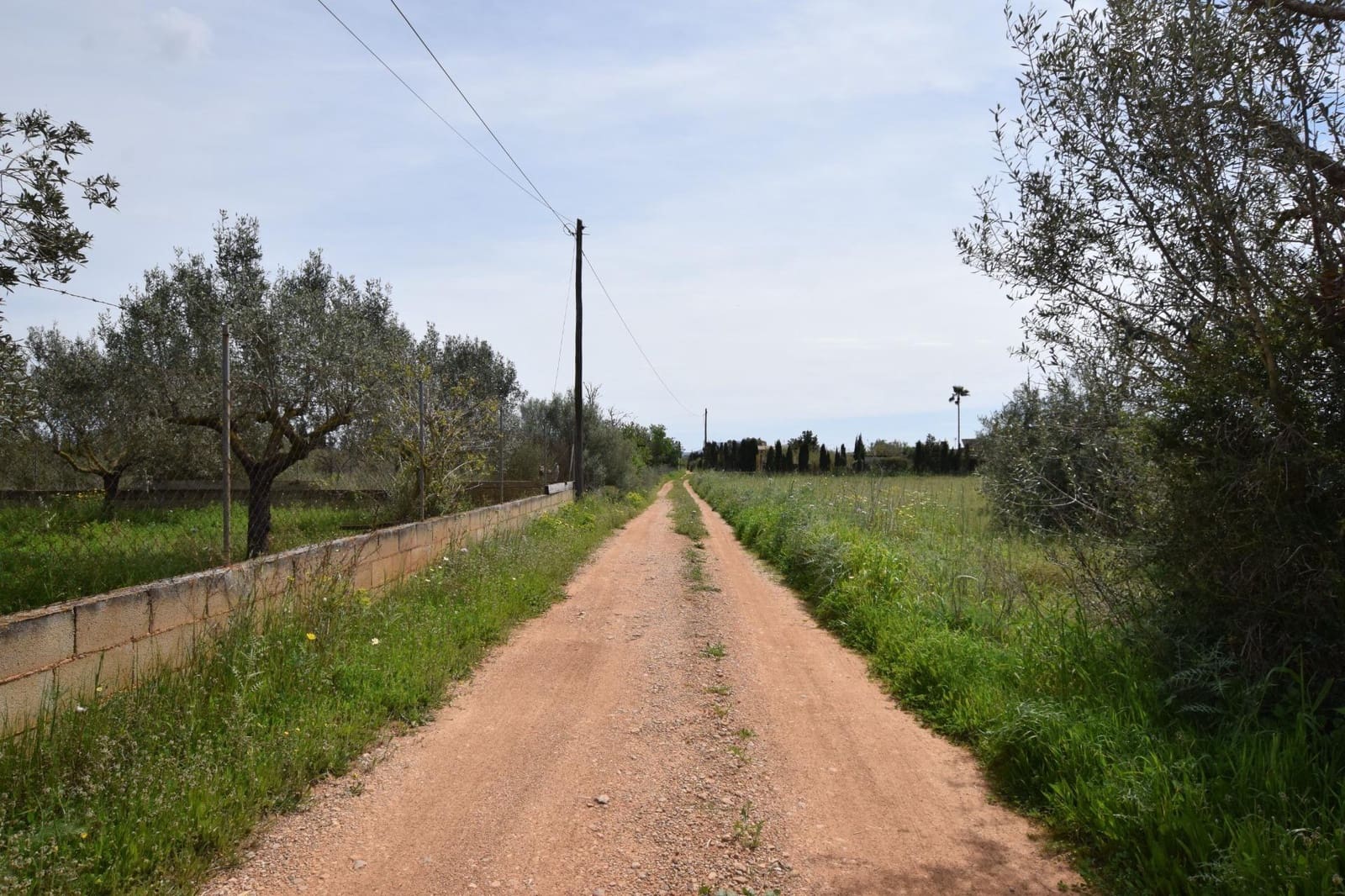 1 sypialnia Finka/Dom wiejski na sprzedaż w Ses Alqueries - 242 000 € (Ref: 9533968)