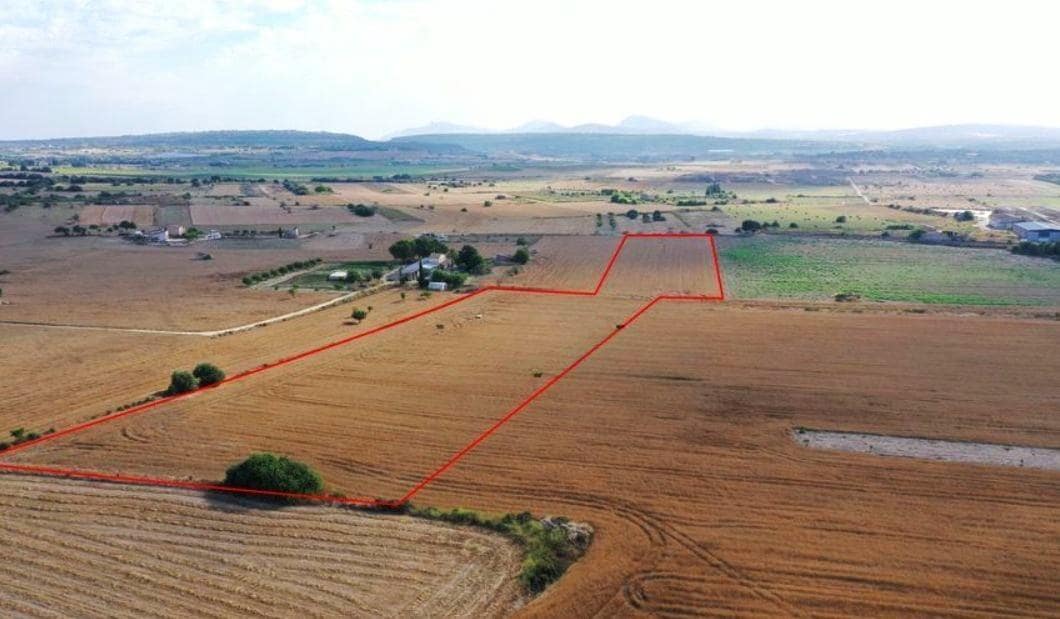 Terreno/Finca Rústica en Petra en venta - 265.000 € (Ref: 9556066)