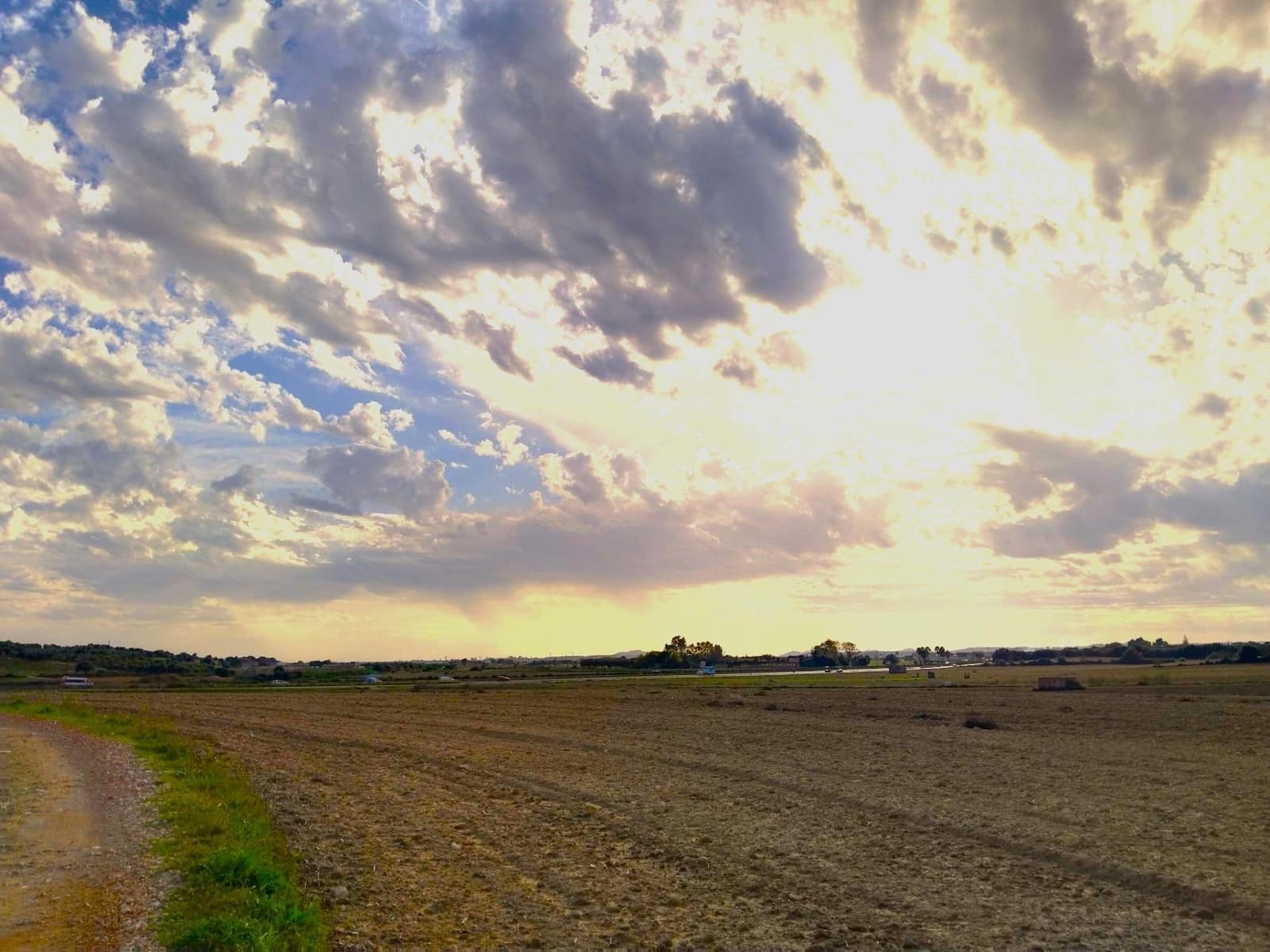 Terreno/Finca Rústica en Petra en venta - 265.000 € (Ref: 9556066)