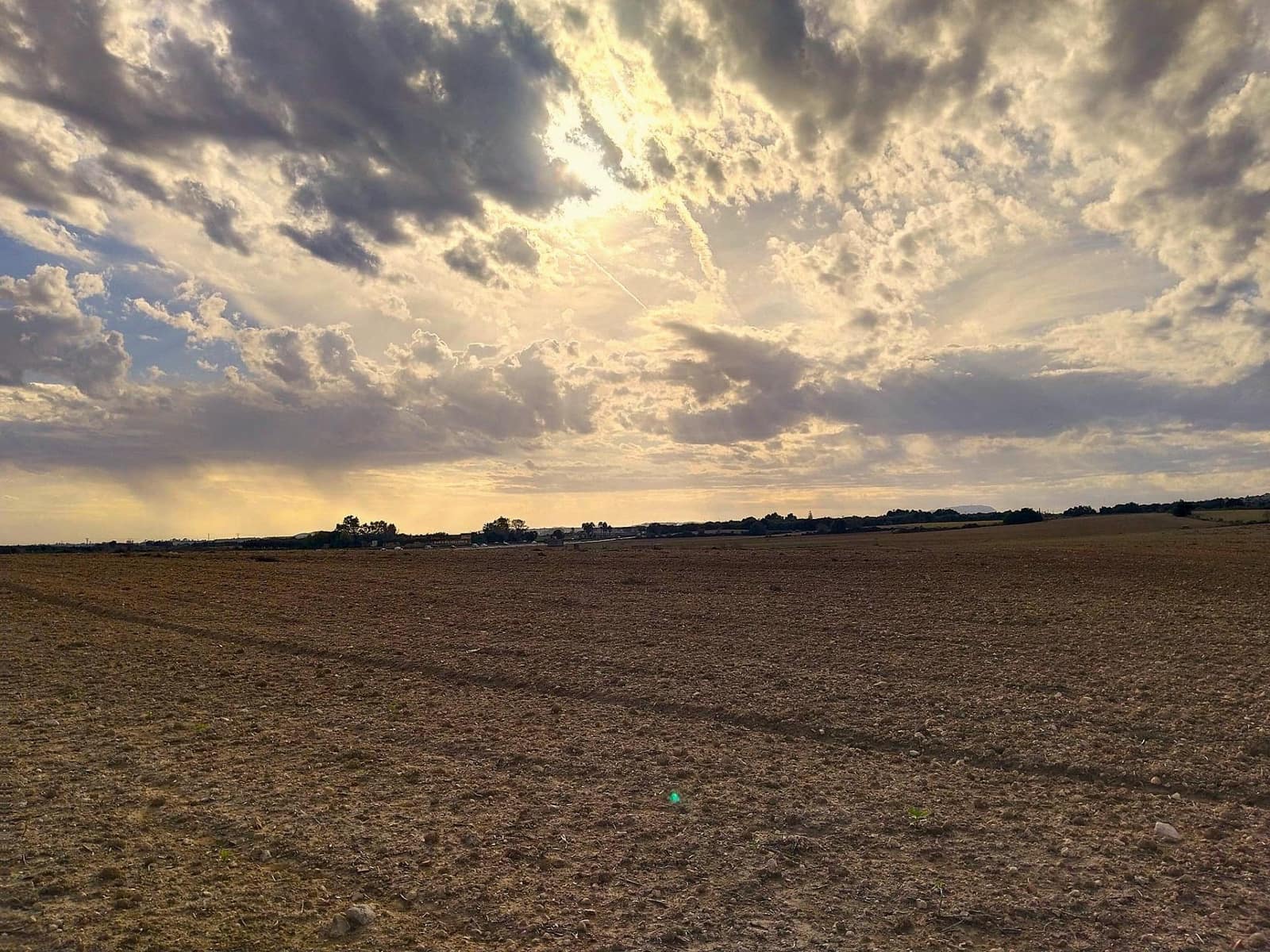 Terreno/Finca Rústica en Petra en venta - 265.000 € (Ref: 9556066)