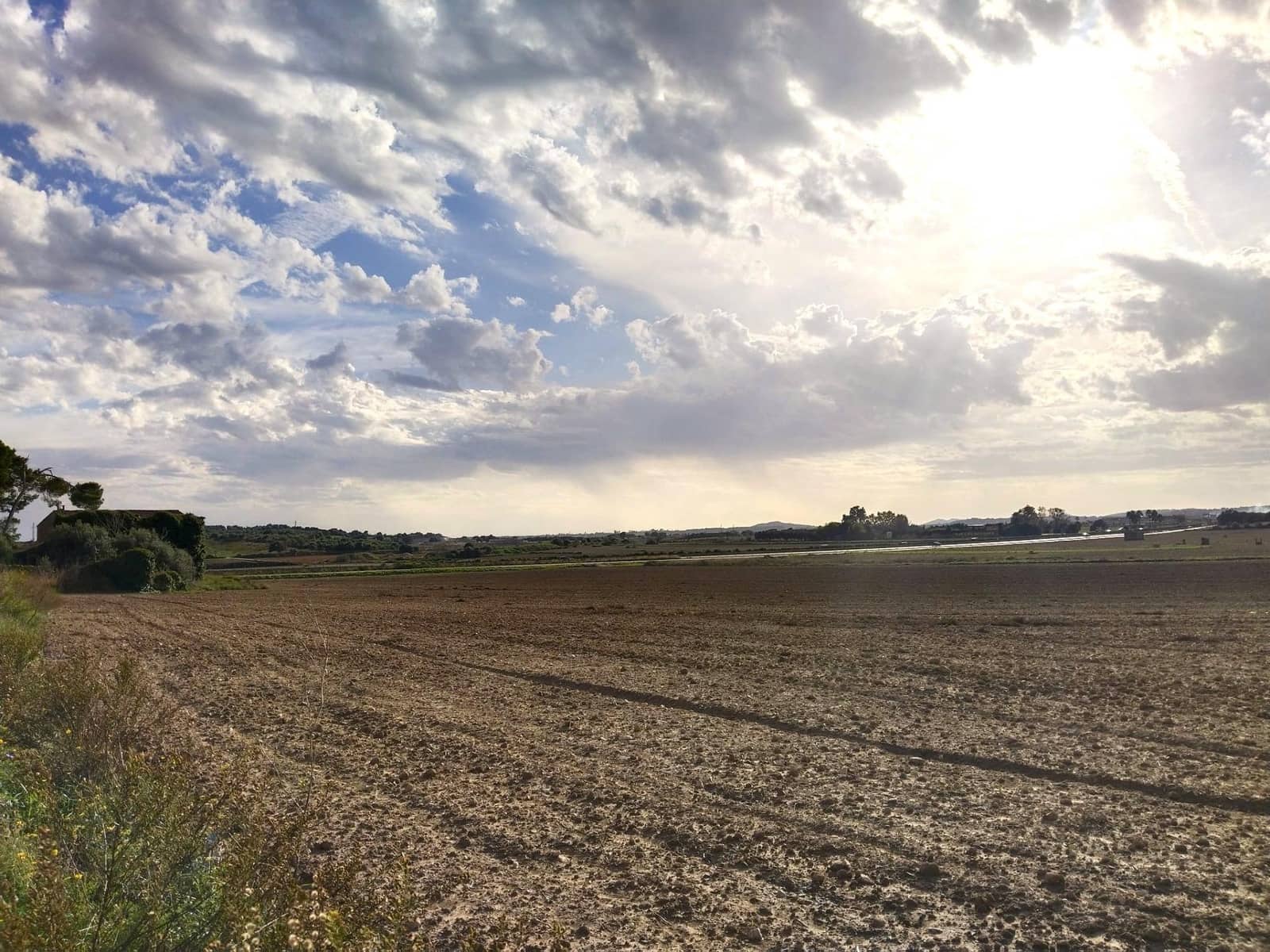 Terreno/Finca Rústica en Petra en venta - 265.000 € (Ref: 9556066)