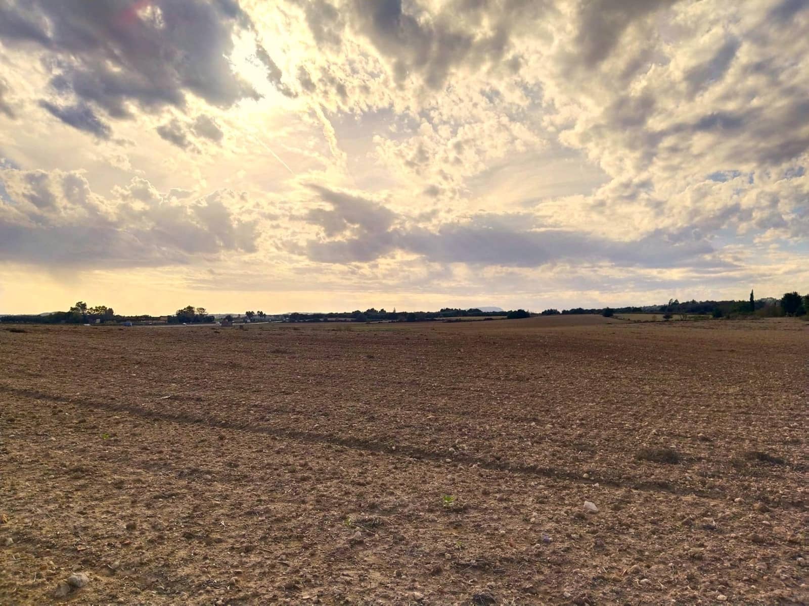 Terreno/Finca Rústica en Petra en venta - 265.000 € (Ref: 9556066)