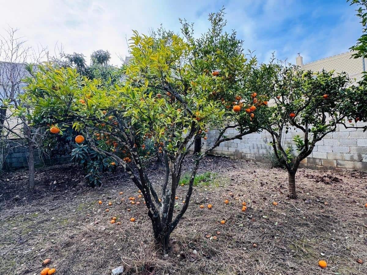 Działka budowlana na sprzedaż w Felanitx - 199 000 € (Ref: 9562072)