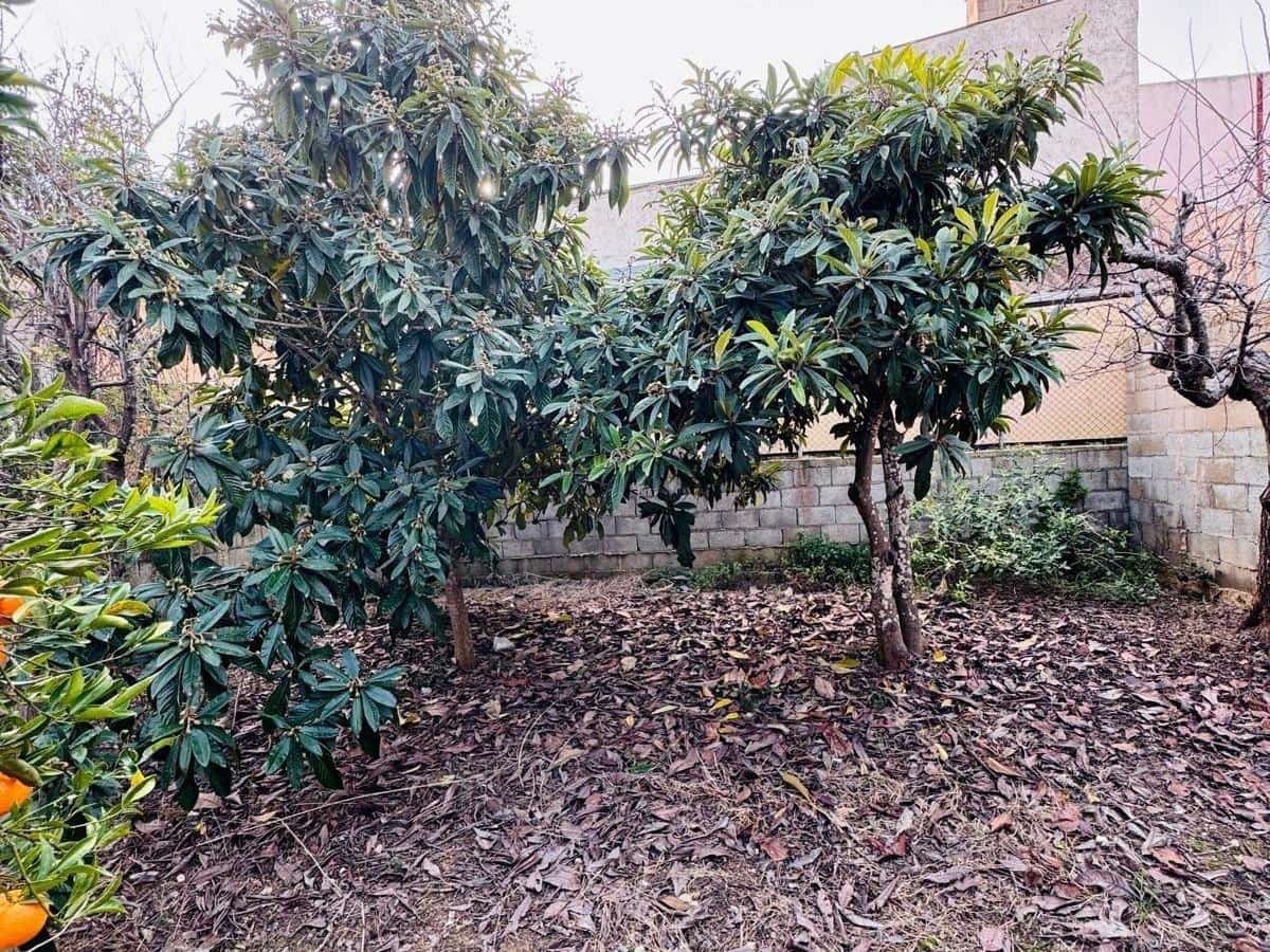 Działka budowlana na sprzedaż w Felanitx - 199 000 € (Ref: 9562072)