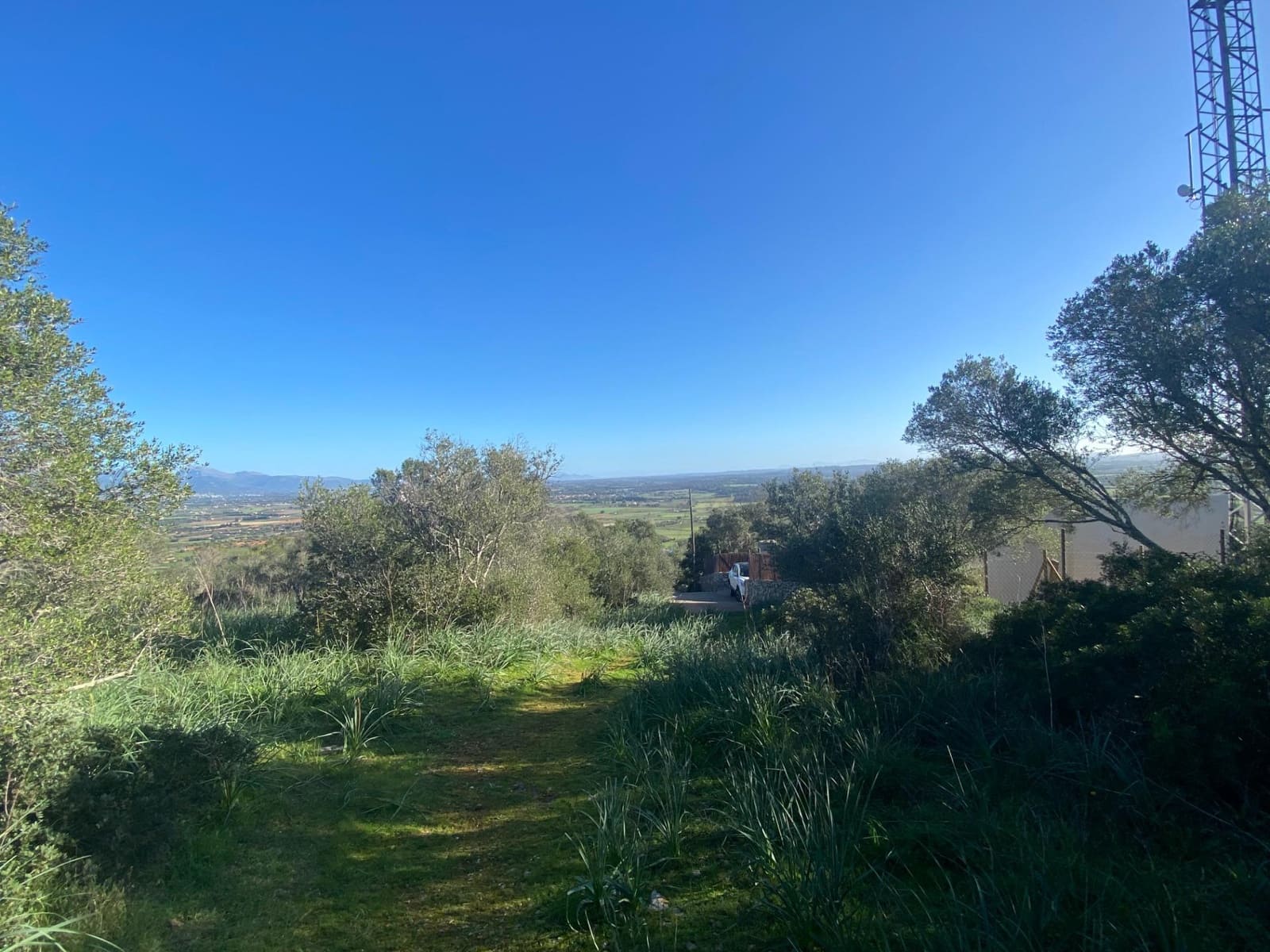 Mark till salu i Santa Eugenia - 41 630 € (Ref: 9599711)