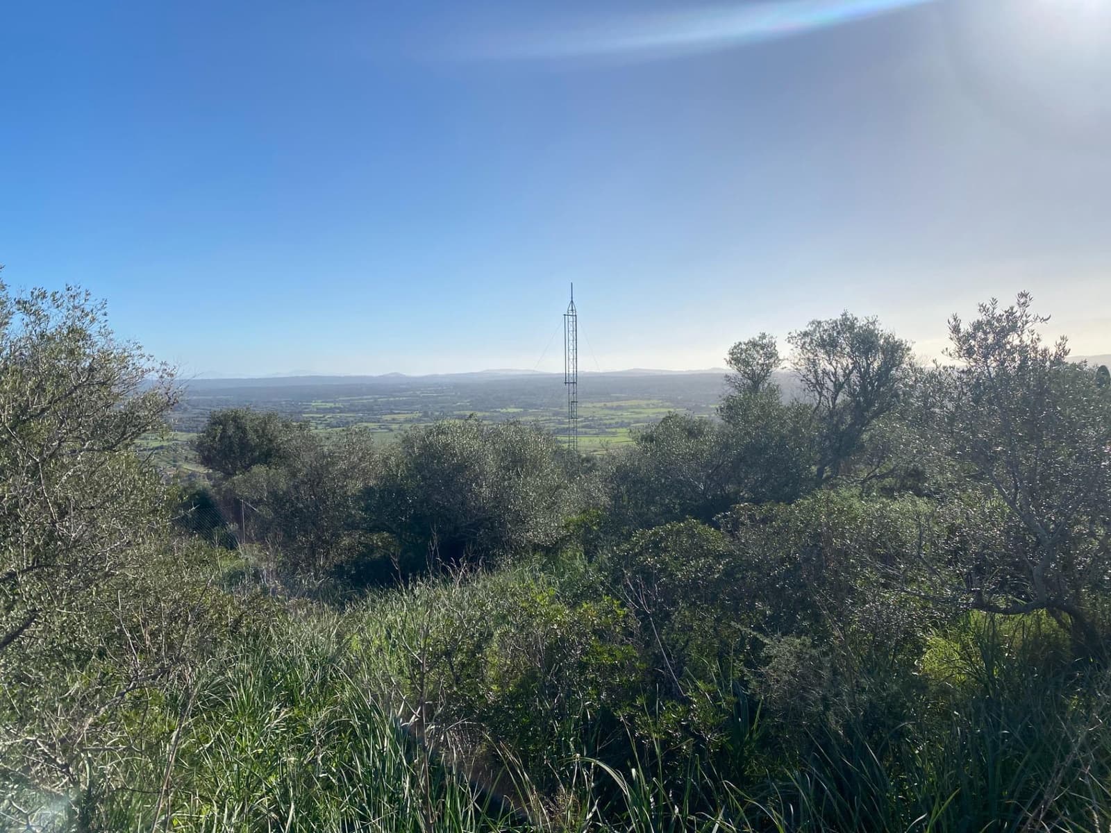 Mark till salu i Santa Eugenia - 41 630 € (Ref: 9599711)