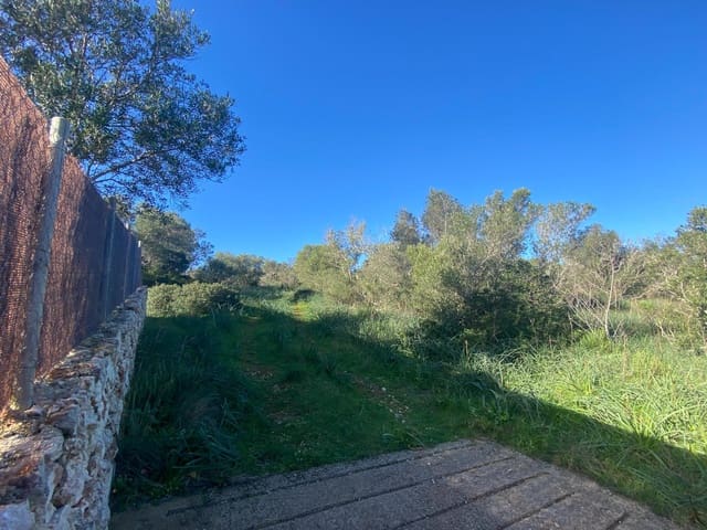 Mark till salu i Santa Eugènia - 41 630 € (Ref: 9599711)