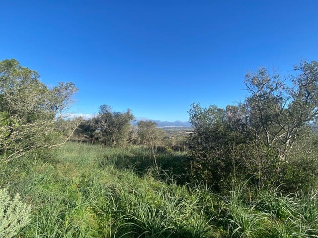 Mark till salu i Santa Eugènia - 41 630 € (Ref: 9599711)