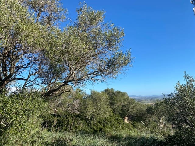 Mark till salu i Santa Eugènia - 41 630 € (Ref: 9599711)