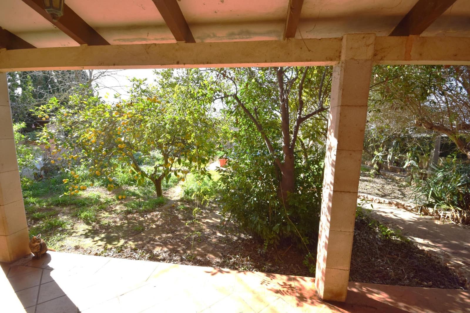 Finca/Casa Rural de 3 habitaciones en Palma de Mallorca en venta con piscina garaje - 390.000 € (Ref: 9611421)