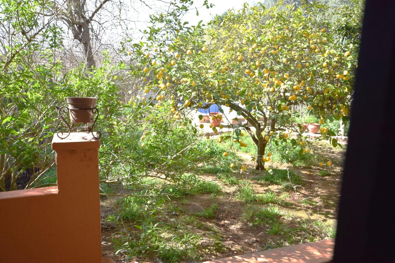 Finca/Casa Rural de 3 habitaciones en Palma de Mallorca en venta con piscina garaje - 390.000 € (Ref: 9611421)