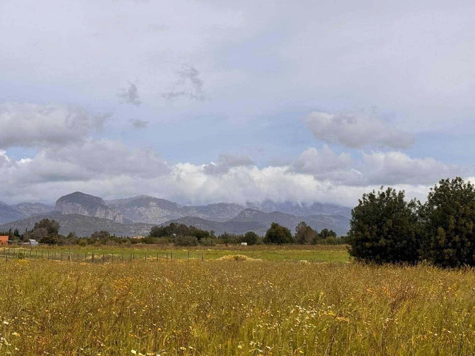 Tontti myytävänä paikassa Santa Eugenia - 47 000 € (Ref: 9656288)