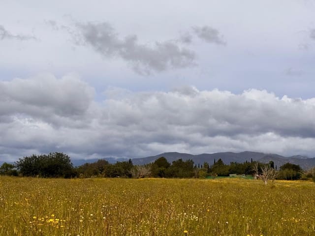 Building Plot for sale in Santa Eugènia - € 47,000 (Ref: 9656288)