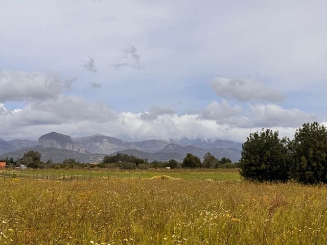 Building Plot for sale in Santa Eugènia - € 47,000 (Ref: 9656288)