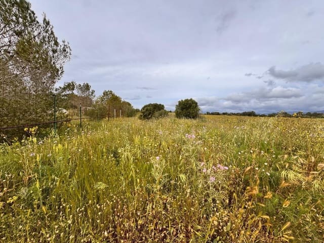 Building Plot for sale in Santa Eugènia - € 47,000 (Ref: 9656288)