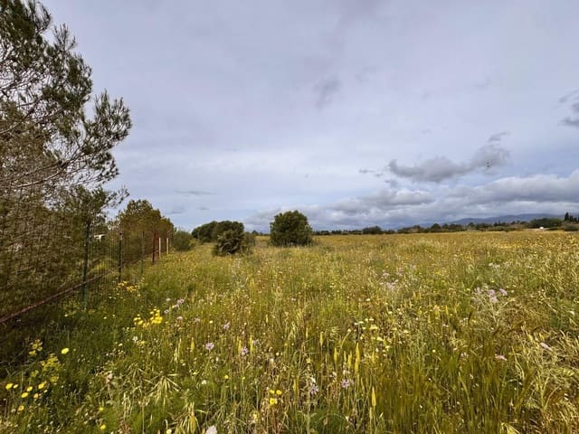 Building Plot for sale in Santa Eugènia - € 47,000 (Ref: 9656288)