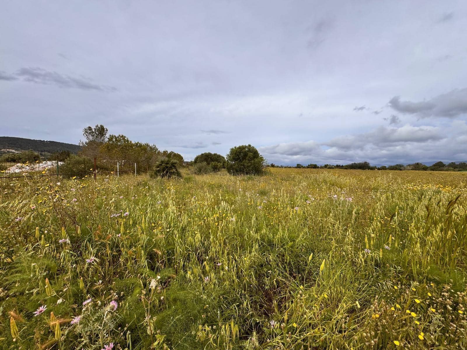 Tontti myytävänä paikassa Santa Eugenia - 47 000 € (Ref: 9656288)