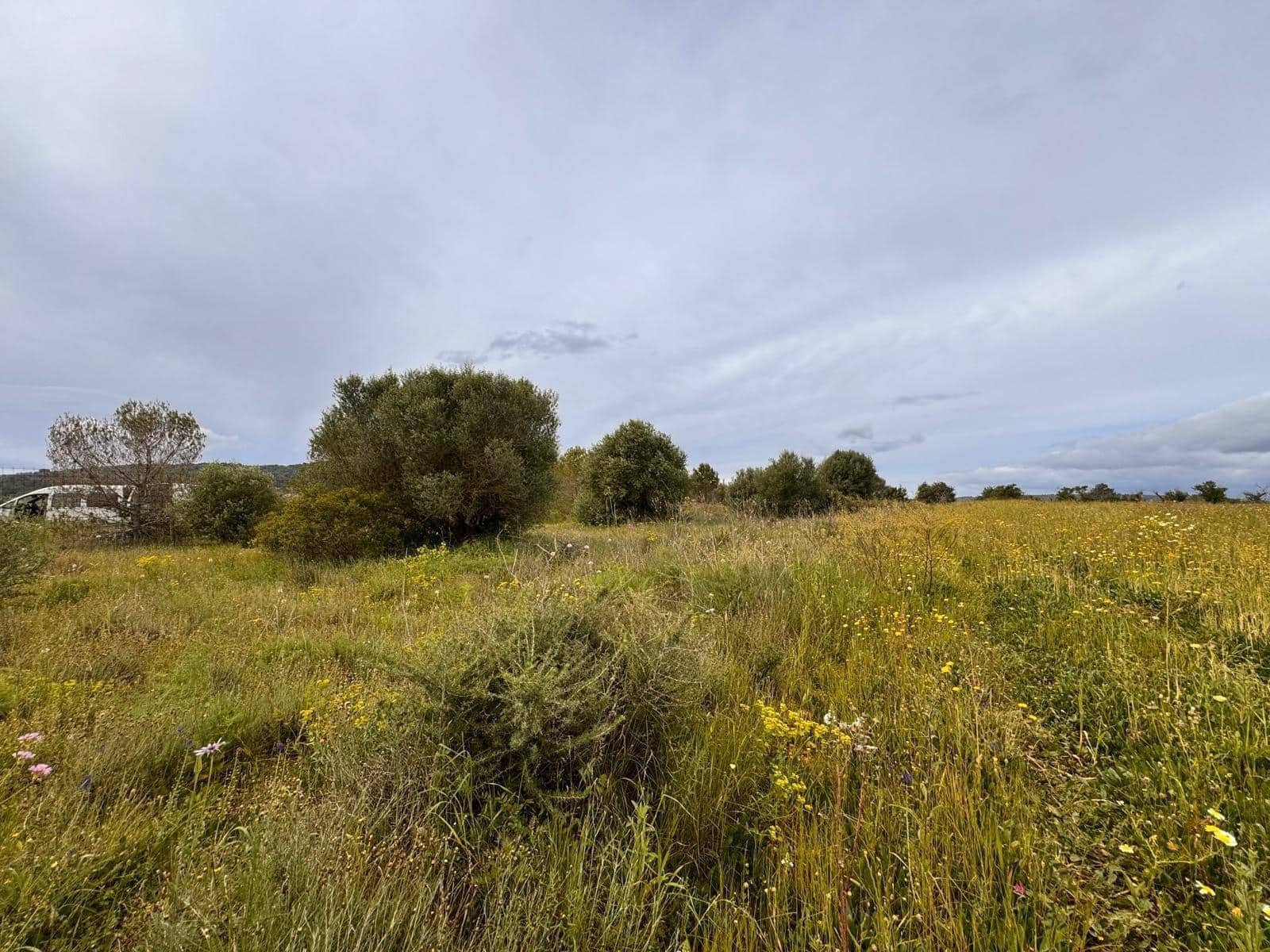 Tontti myytävänä paikassa Santa Eugenia - 47 000 € (Ref: 9656288)