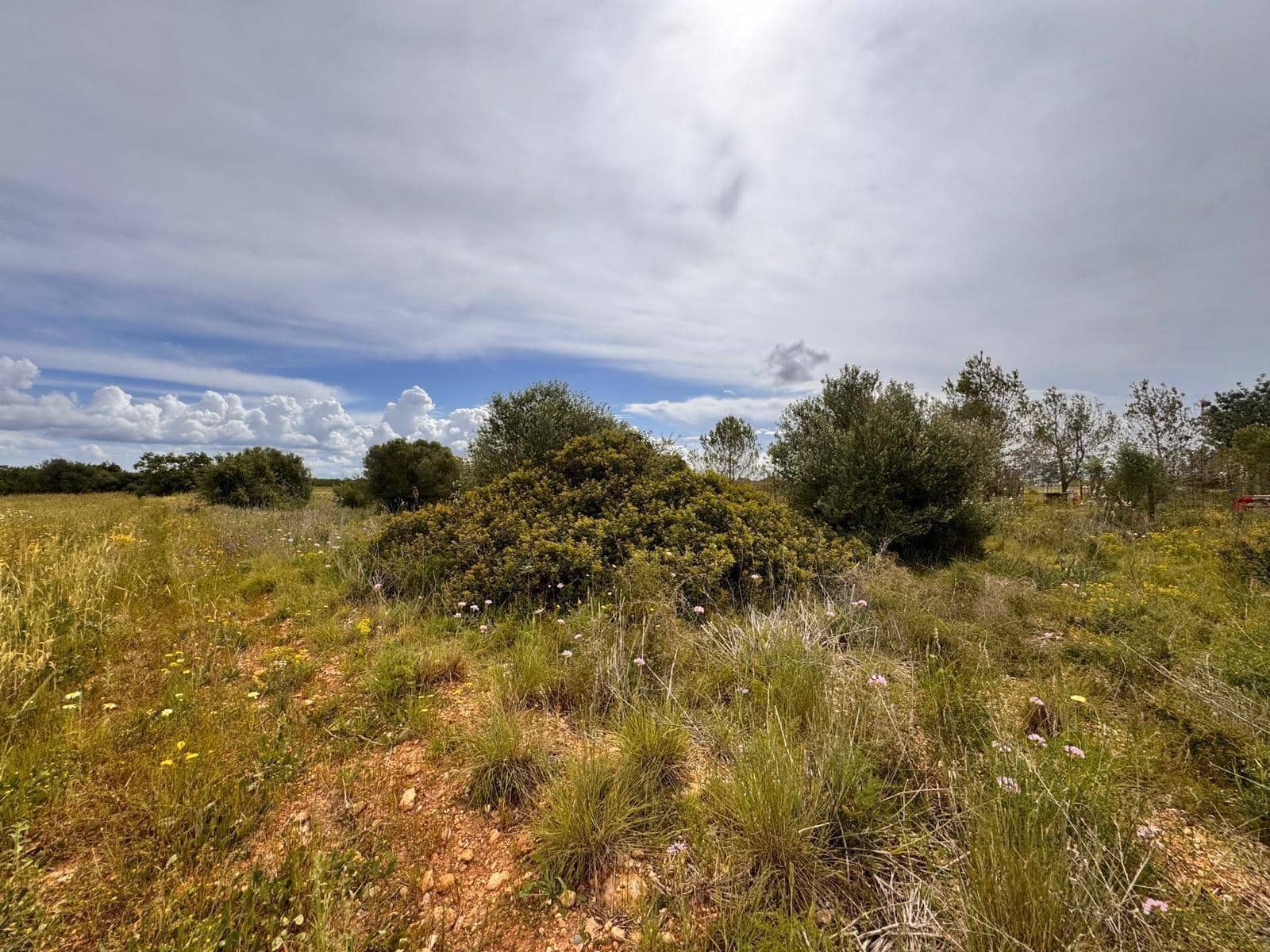 Tontti myytävänä paikassa Santa Eugenia - 47 000 € (Ref: 9656288)