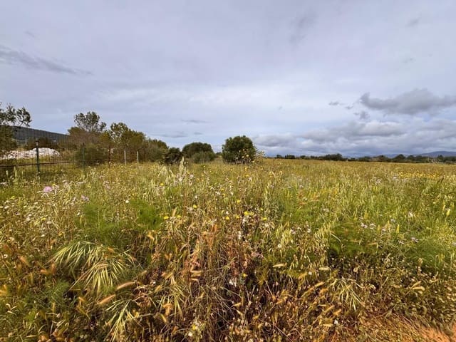 Building Plot for sale in Santa Eugènia - € 47,000 (Ref: 9656288)