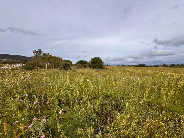 Building Plot for sale in Santa Eugènia - € 47,000 (Ref: 9656288)