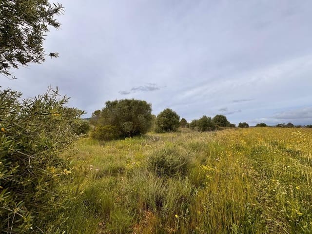 Building Plot for sale in Santa Eugènia - € 47,000 (Ref: 9656288)