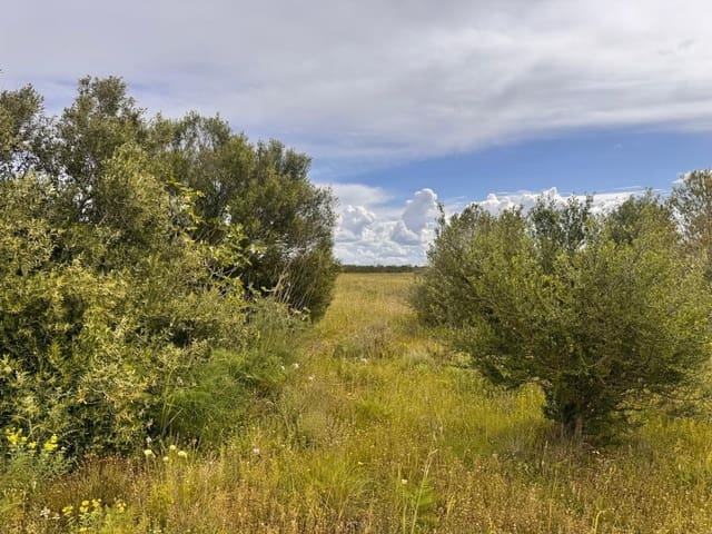 Building Plot for sale in Santa Eugènia - € 47,000 (Ref: 9656288)