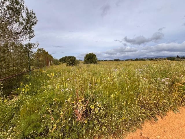 Building Plot for sale in Santa Eugènia - € 47,000 (Ref: 9656288)