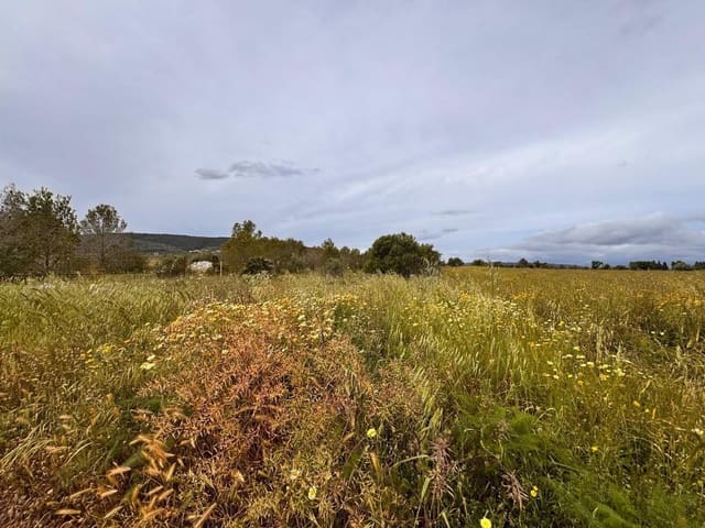 Building Plot for sale in Santa Eugènia - € 47,000 (Ref: 9656288)