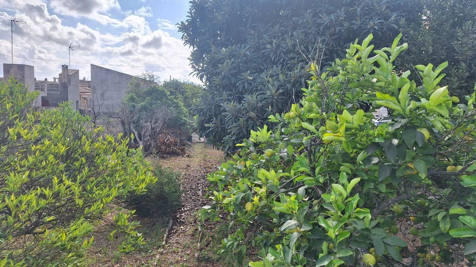 Byggegrund til salg i Llubi - € 139.000 (Ref: 9659622)