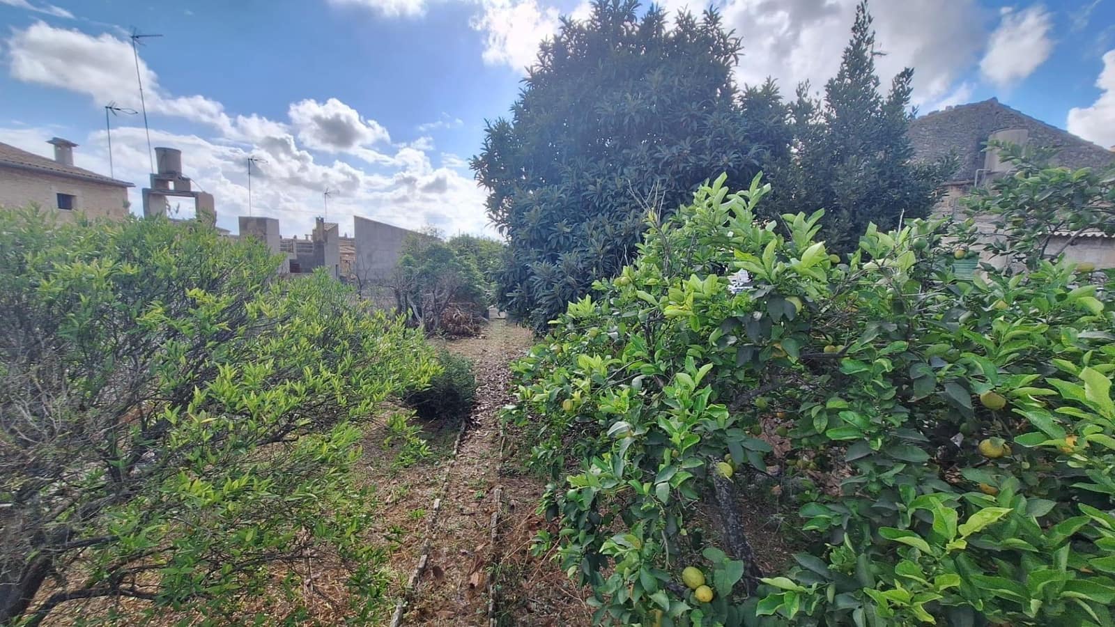 Byggegrund til salg i Llubi - € 139.000 (Ref: 9659622)