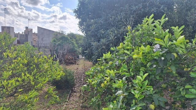 Byggegrund til salg i Llubí - € 139.000 (Ref: 9659622)