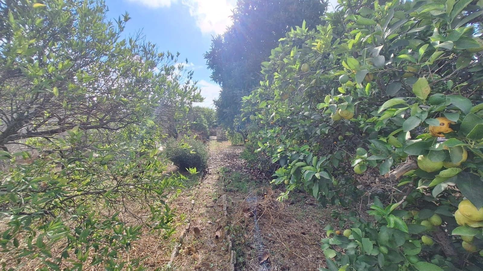 Byggegrund til salg i Llubi - € 139.000 (Ref: 9659622)