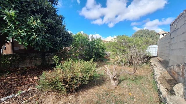 Byggegrund til salg i Llubí - € 139.000 (Ref: 9659622)