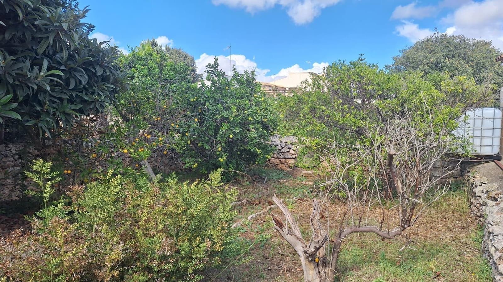 Byggegrund til salg i Llubi - € 139.000 (Ref: 9659622)