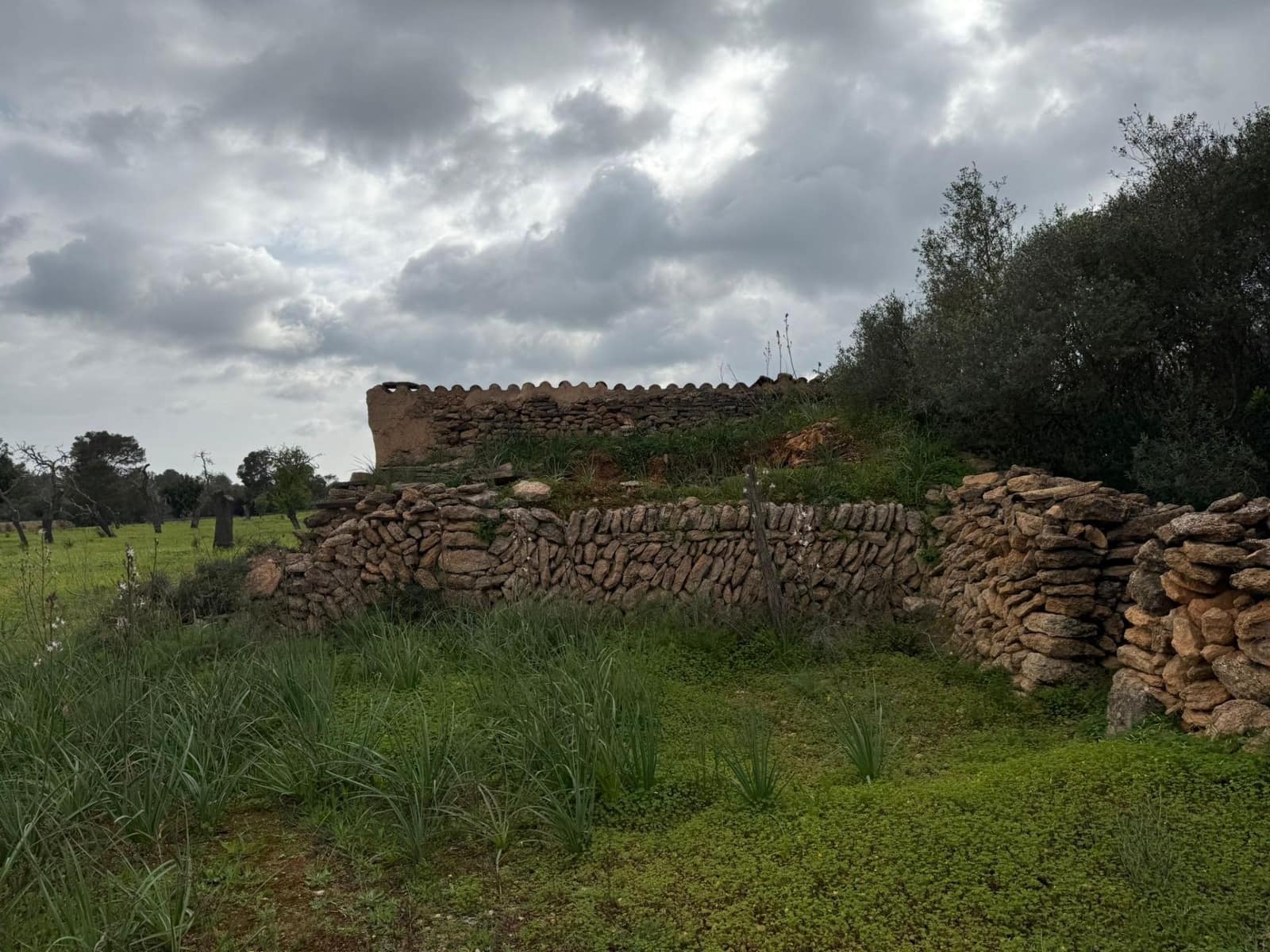 Grunde uden byggetilladelser til salg i Llucmajor - € 268.000 (Ref: 9698957)